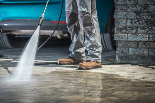 Best Driveway Cleaning and Restoration in USA